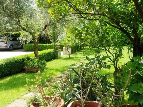 Villa Scimmia Scauri  Εξωτερικό φωτογραφία